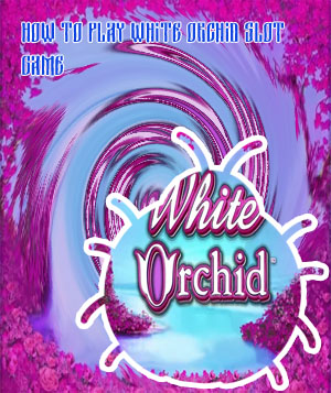 White orchid slot machine game
